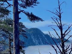 -瓦屋山景区