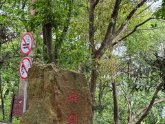 -上海佘山国家森林公园天马山园