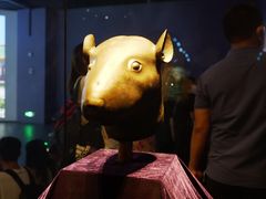 -广西壮族自治区博物馆