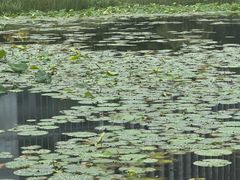 -3W咖啡(国家软件园店)