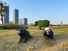 -映月湖中央公园