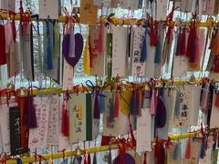 -昆明普瑞眼科医院·近视手术(龙泉院区)