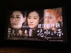 -武商摩尔影城(国广IMAX激光店)
