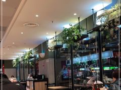 -肯德基(石佛营店)