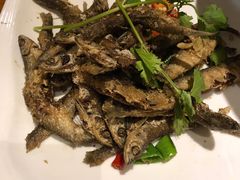 -魁鱼馆·千岛湖金陵山水啤酒温泉酒店