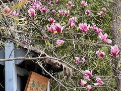 -海棠花溪(元大都城垣遗址公园)