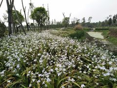 -金琴口腔·正畸种植全科(太升北路店)