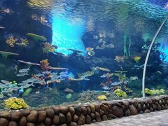 -华夏文旅海洋公园