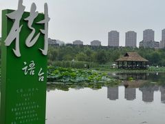 -前关湿地公园