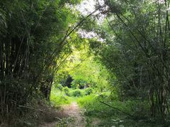 -火炉山森林公园