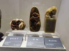 -安徽省地质博物馆