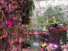 -正佳雨林生态植物园