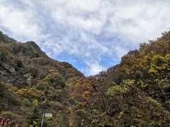 -柞水土菜馆(营盘镇朱家湾店)