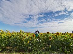 -汉长安城未央宫国家考古遗址公园