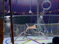 -福州罗源湾海洋世界旅游区