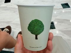 -大树餐厅(环球港店)