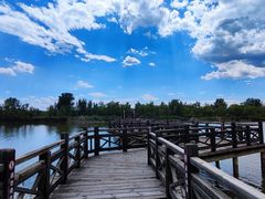 -野鸭湖国家湿地公园