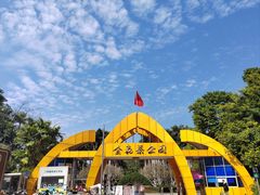 -金花茶公园