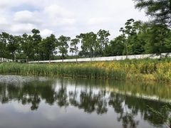 -艾溪湖湿地公园