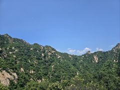 -大岭沟猕猴桃谷风景区