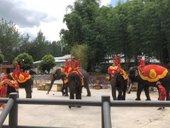 -云南民族村