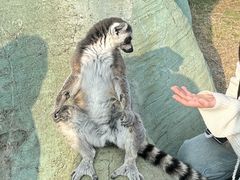-杭州野生动物世界