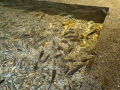 -明谷行馆·温泉