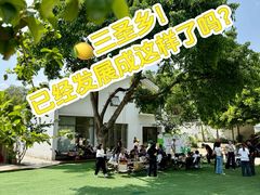 -柠檬花院烤肉·会议团建·聚会·求婚(三圣乡店)