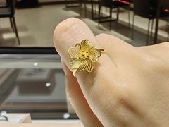 -首开·龙湖成都西宸天街