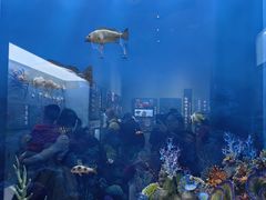 -国家自然博物馆