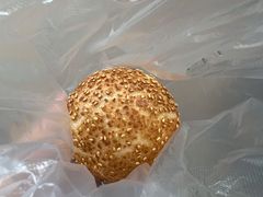 -汪记鲜鱼糊汤粉(沈阳路总店)