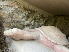 -上海佘山国家森林公园天马山园