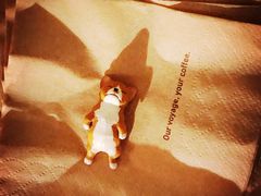 -VOYAGE COFFEE(北锣鼓巷店)