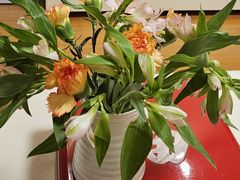 -红辣椒·川菜·火锅(张杨路店)