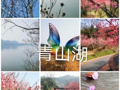 -青山湖景区