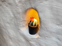 -Sirena海妖日咖夜酒