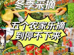 -小鱼草莓采摘园农家乐·小鱼餐厅
