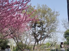 -无锡蠡湖国家湿地公园-蠡园