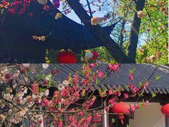 -南山风景名胜区
