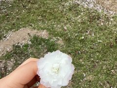 -自然谷恐龙园