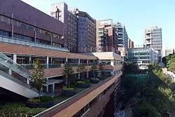 -香港大学