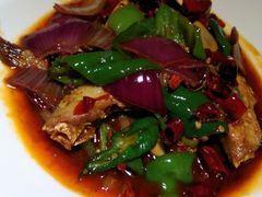 -酒肉行·虎子盐筋烤肉(大寨路店)