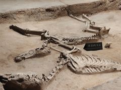 -洛阳周王城天子驾六博物馆