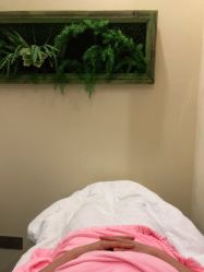 点击看大图 -芳朵美容养生SPA