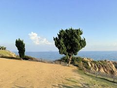 -小麦岛公园