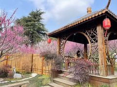 -无锡梅园公园