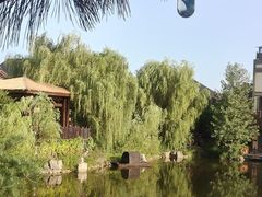 -诗经里