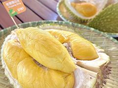 -榴莲BB 四季果园