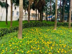 -西南交通大学(九里校区)