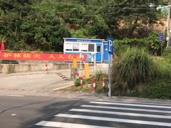-田心森林公园